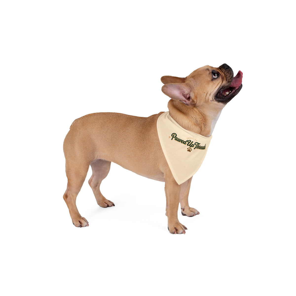 PawedUpThreads Paw Print Bandana